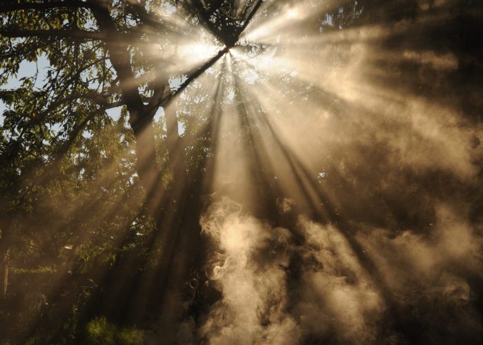 wonderlane-_rmULTYorYQ-unsplash